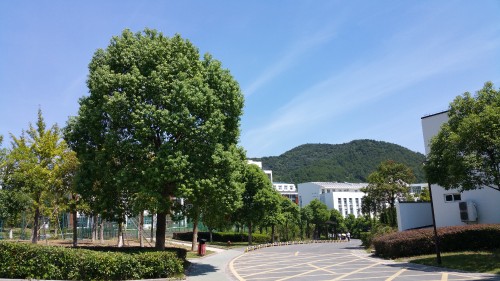 37b46cb1446304d487.jpg