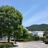 37b46cb1446304d487