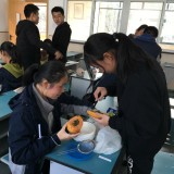 IMG_2841b1f61352c9fc2ef6