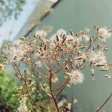 IMG_298175a51238bdee3d73