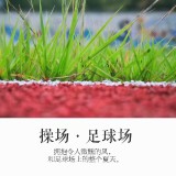 IMG_30350598a595446ca89a
