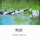 IMG_30364b6ec8758a2ab3f9