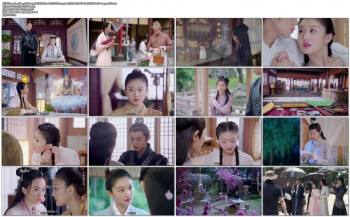 Bao.Gao.Wang.Ye.Wang.Fei.Shi.Zhi.Mao.2020.S01.Complete.E12.1080p.WEB-DL.H265.DD2.0-LeagueWEB.mkv645a59a9b2c2f03e.jpg