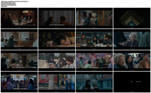 The.Farewell.2019.BluRay.iPad.1080p.AAC.x264 LHD.mp4