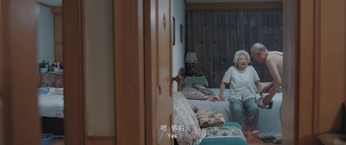 -The-Farewell-2019-WEB-DL-2160P-H265-DDP2.0-LeagueWEB.mkv.00023cab7c7c63b345eb.jpg