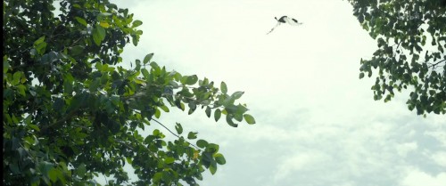 2.0-Enthiran-2-2018-WEB-DL-1080P-H264-AAC-LeagueWEB.mkv.0002b1deb595fe902562.jpg